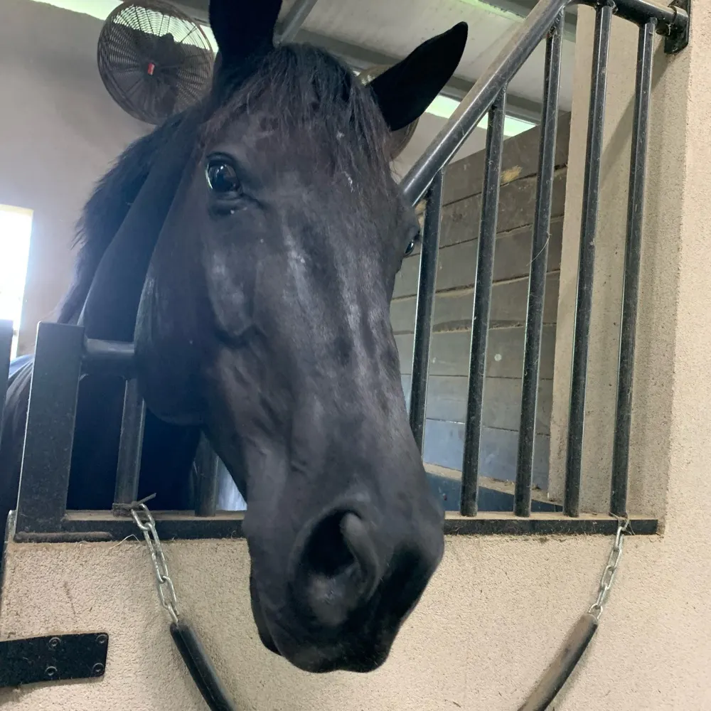 mod79.bsky.social's profile picture