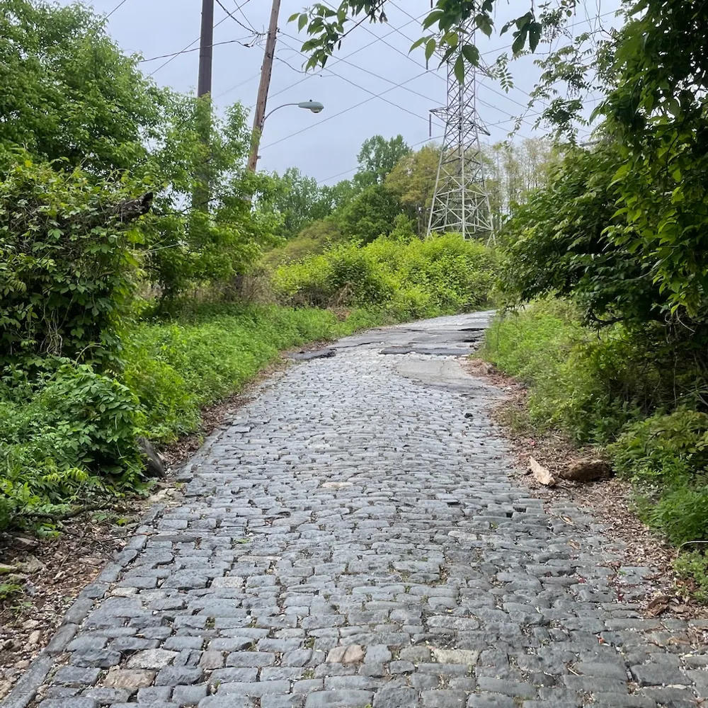 velospence.bsky.social's profile picture