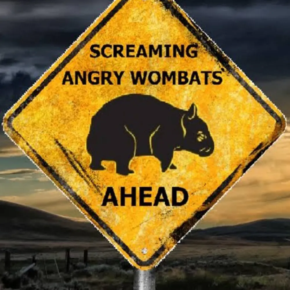 3wombats.bsky.social's profile picture