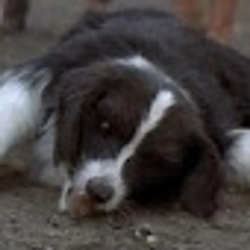 sethdrakin.bsky.social's profile picture