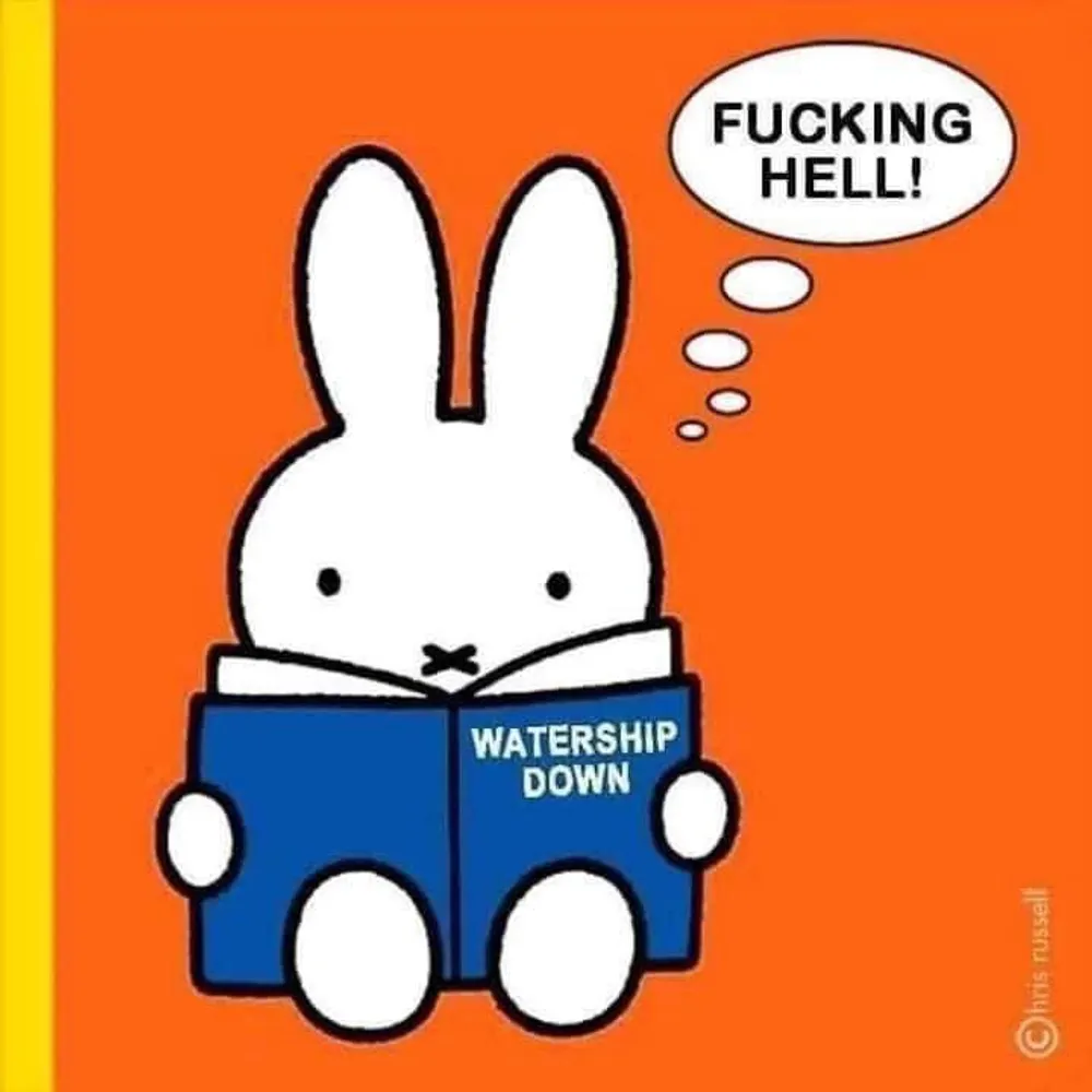 driver67c.bsky.social's profile picture