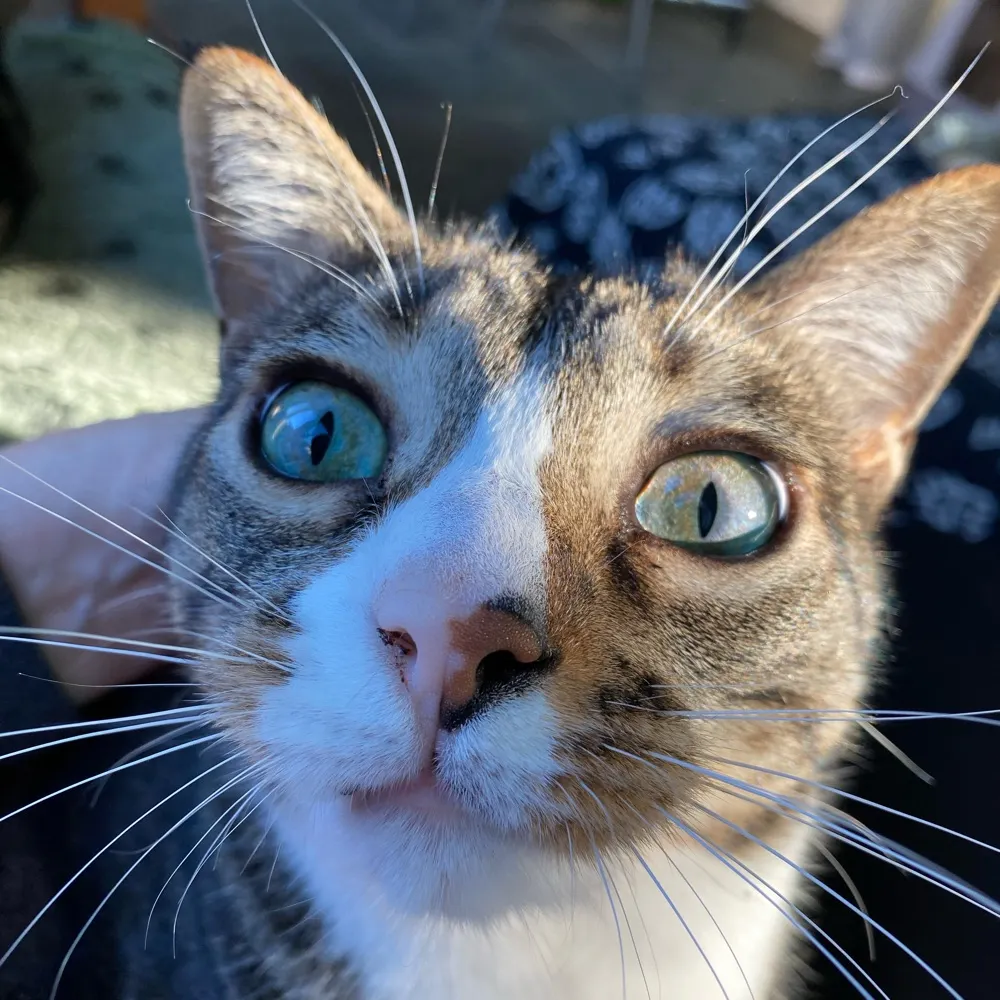 sharonsb.bsky.social's profile picture