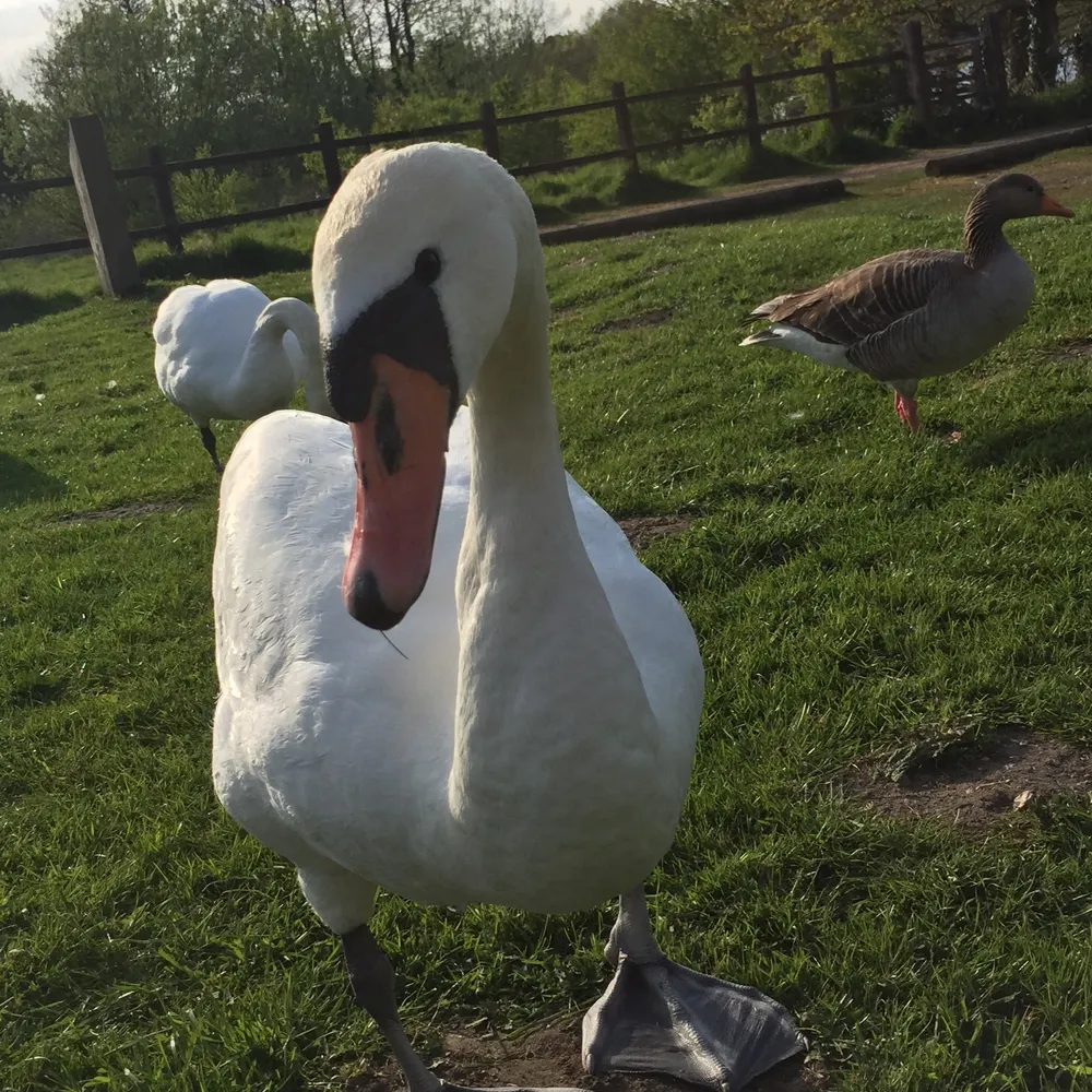 ameresolicitor.bsky.social's profile picture