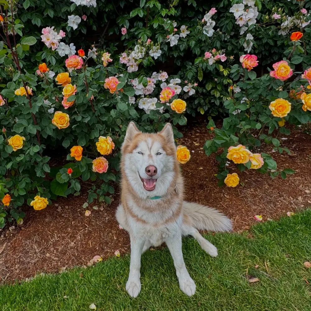 ihatethisplace777.bsky.social's profile picture