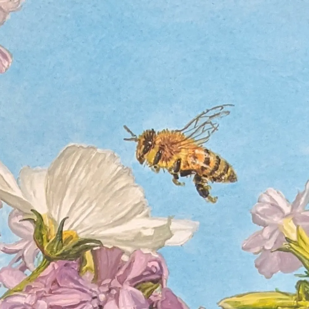 messierobject44.bsky.social's profile picture