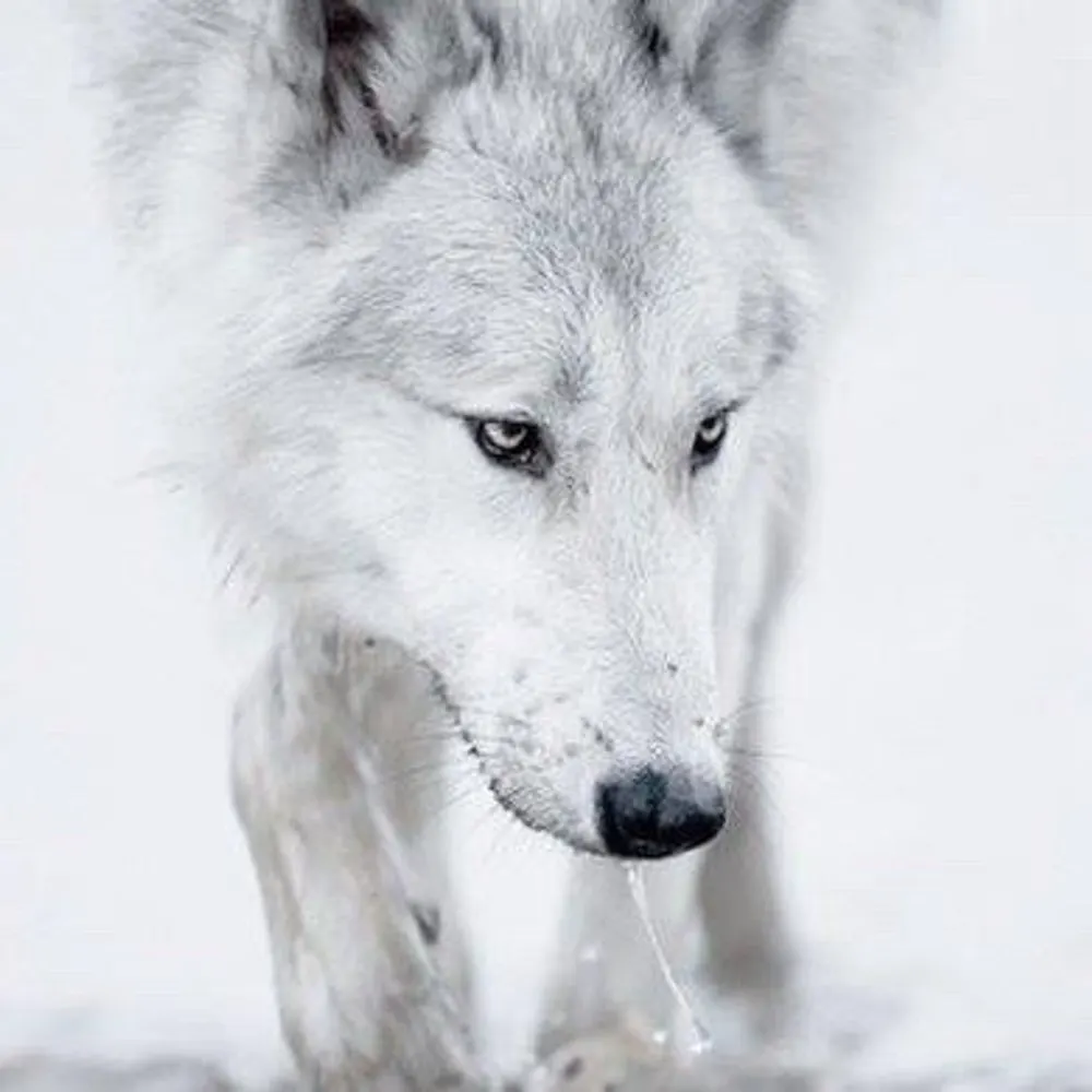 andrewmreichart.bsky.social's profile picture