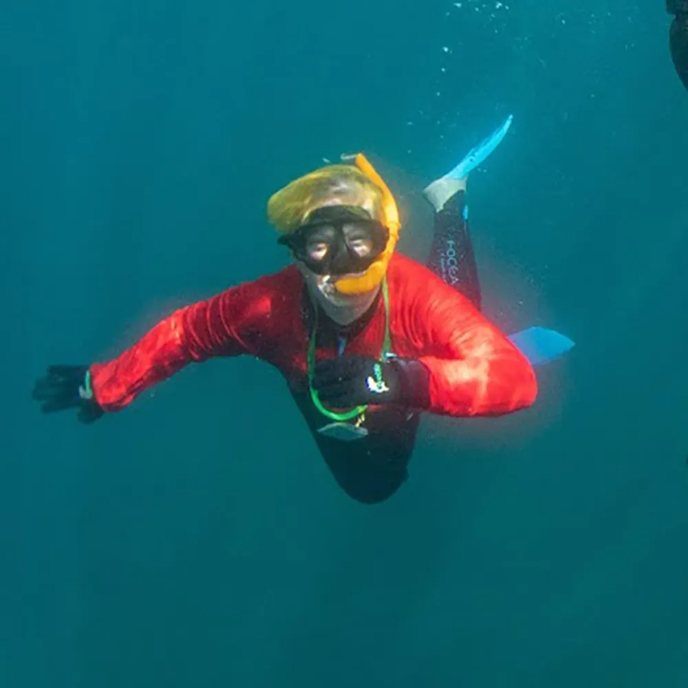 silkehartung.bsky.social's profile picture