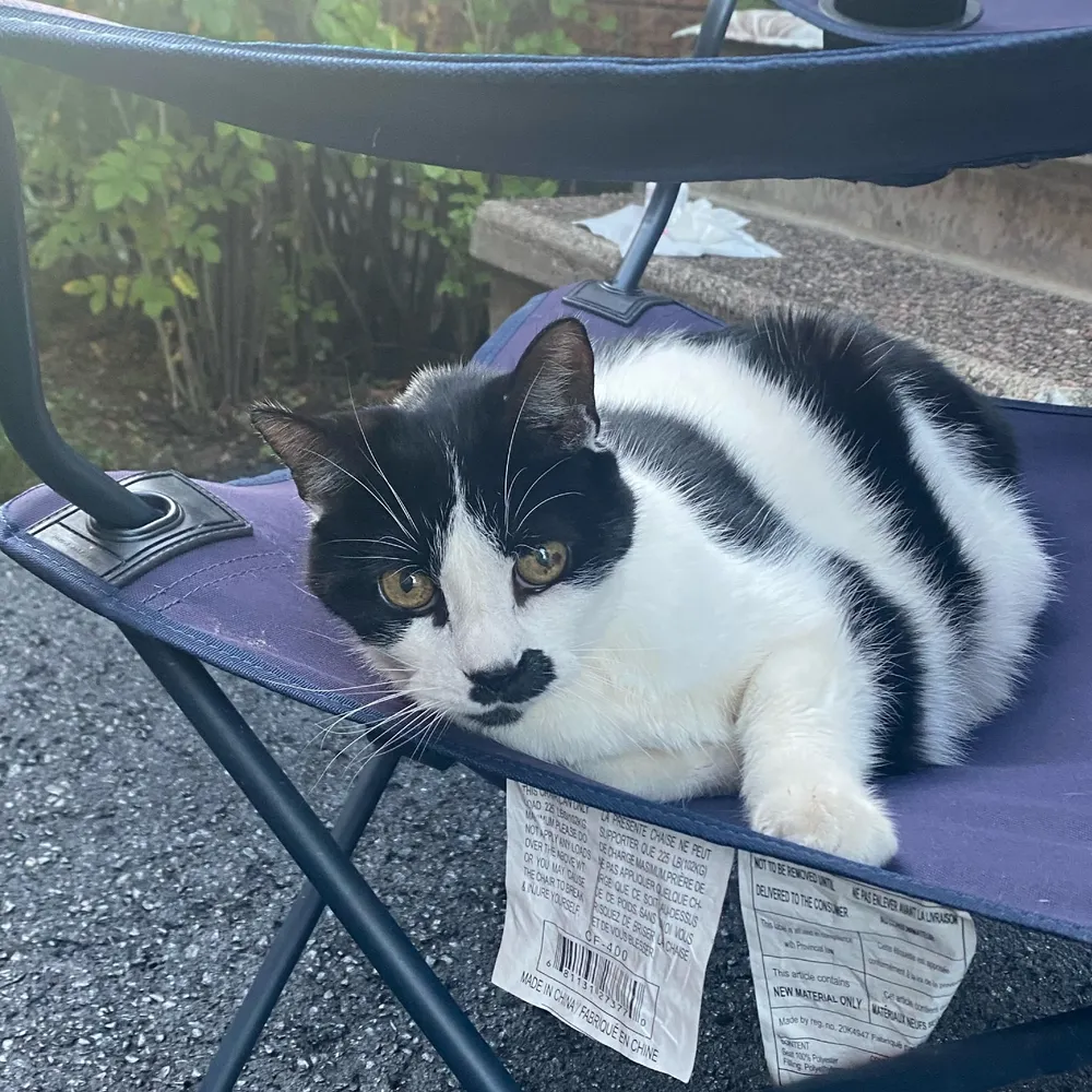 handsolow.bsky.social's profile picture