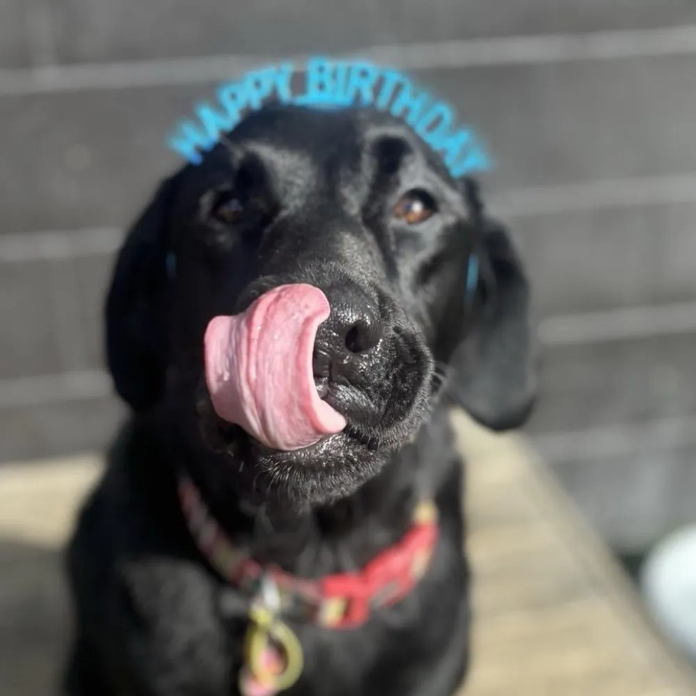 witerabit.bsky.social's profile picture