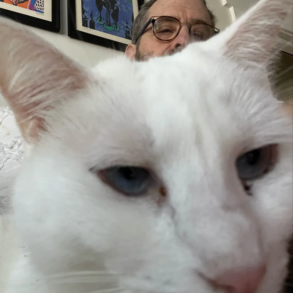 kronn.bsky.social's profile picture