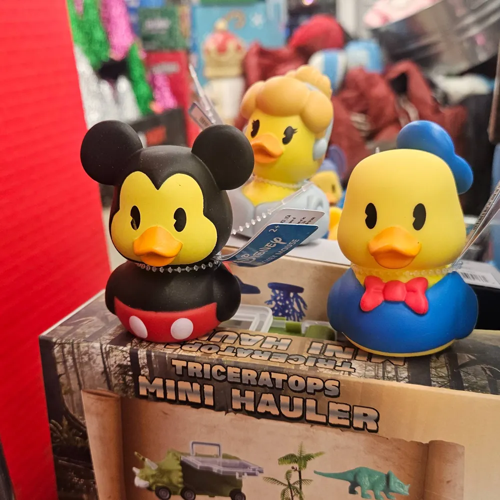 d3vcam1a.bsky.social's profile picture