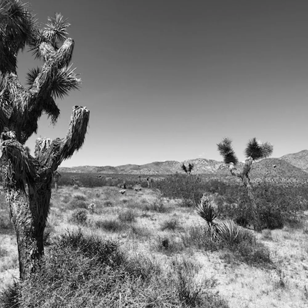 jim85716.bsky.social's profile picture