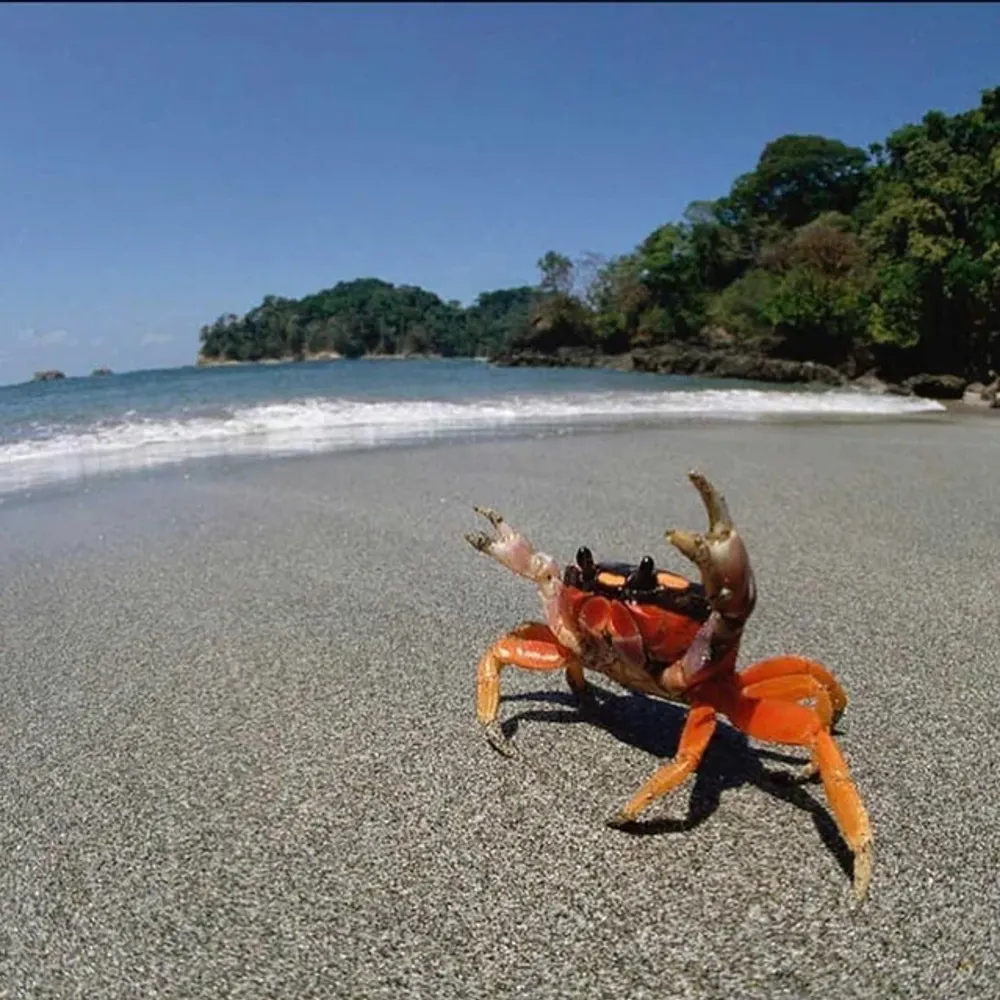 buffy601.bsky.social's profile picture