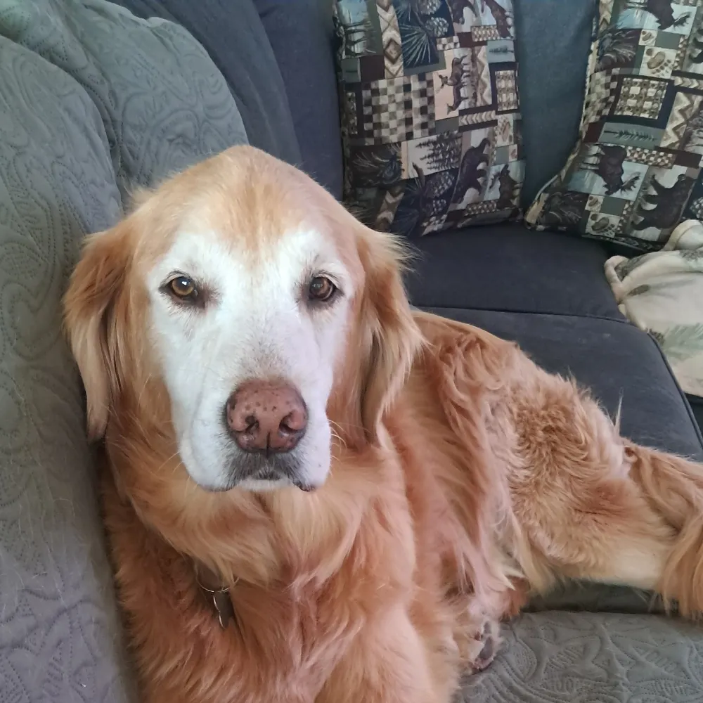 kjp4468.bsky.social's profile picture