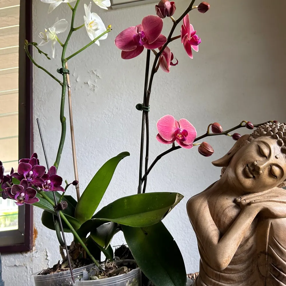 thereisawayjose.bsky.social's profile picture