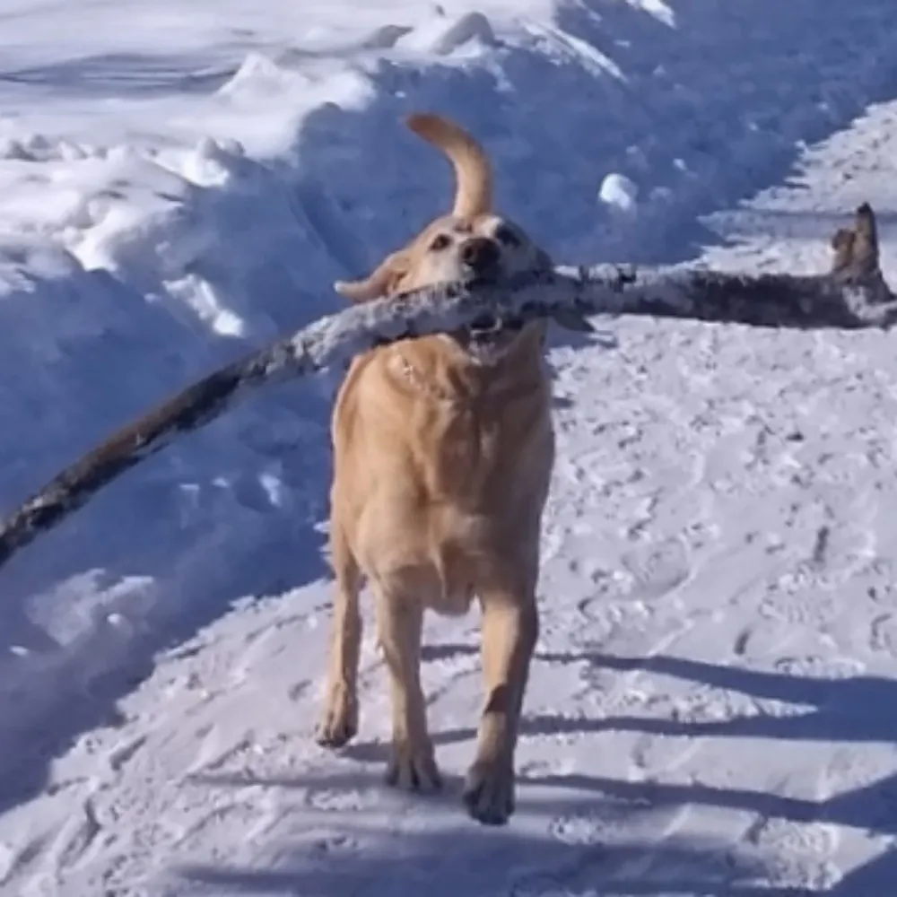 keelyrait.bsky.social's profile picture