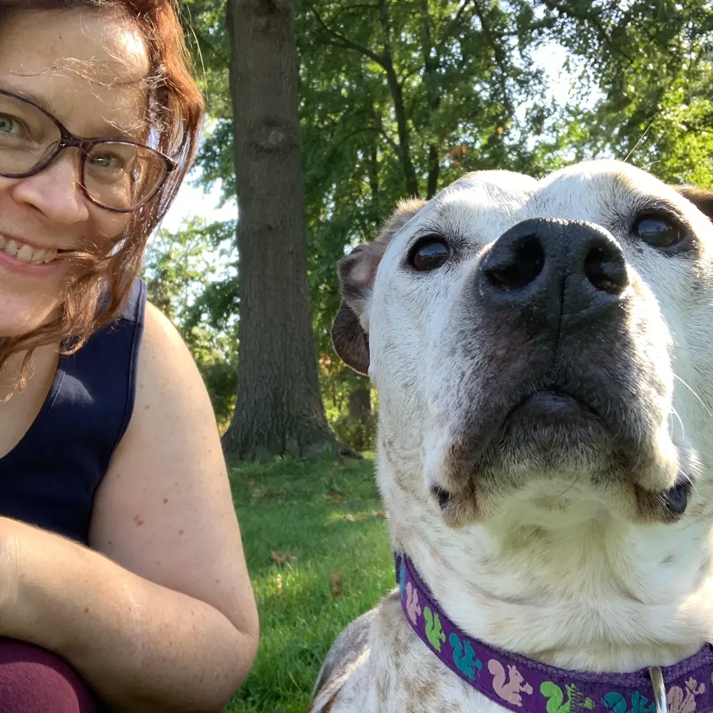 treeandfieldlady.bsky.social's profile picture