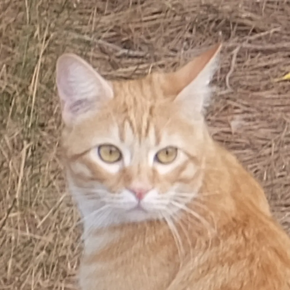 christelames.bsky.social's profile picture