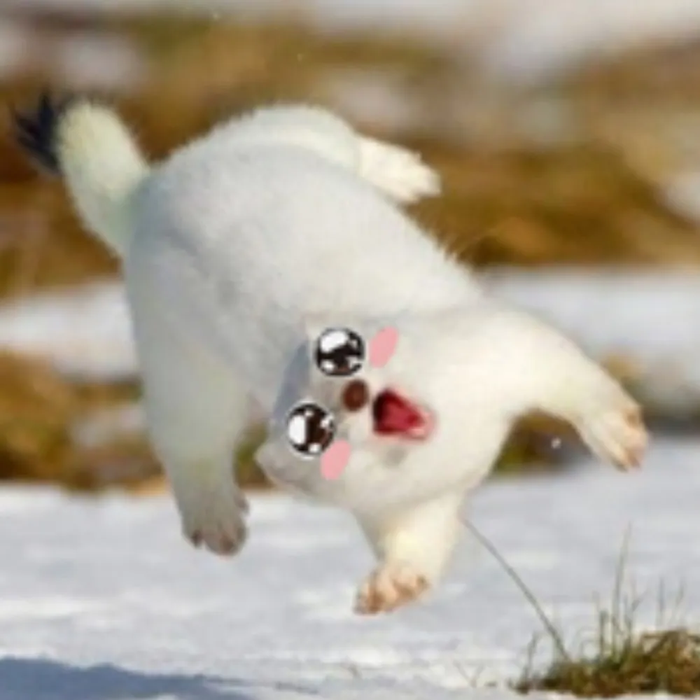 katsundere.bsky.social's profile picture