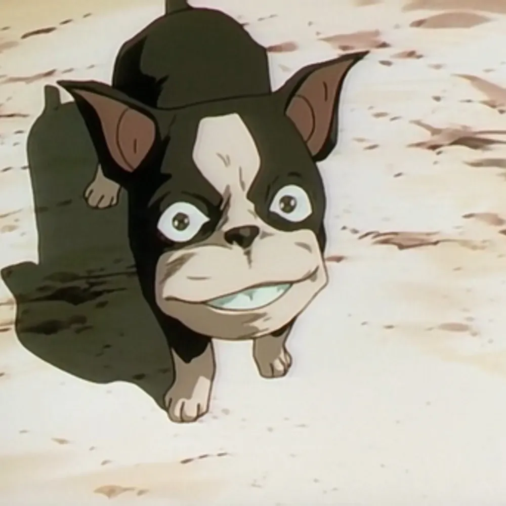 splumpi.bsky.social's profile picture