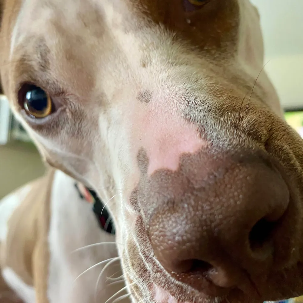 grace10101.bsky.social's profile picture