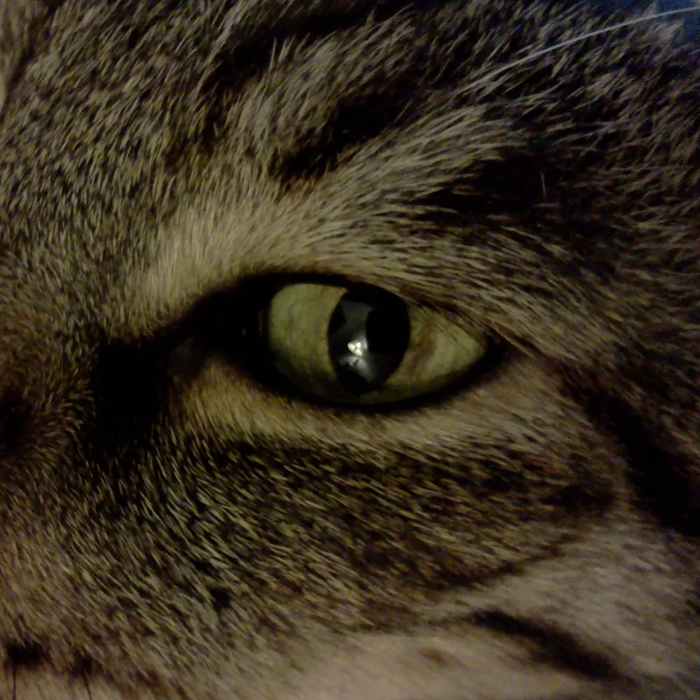 udbmas.bsky.social's profile picture