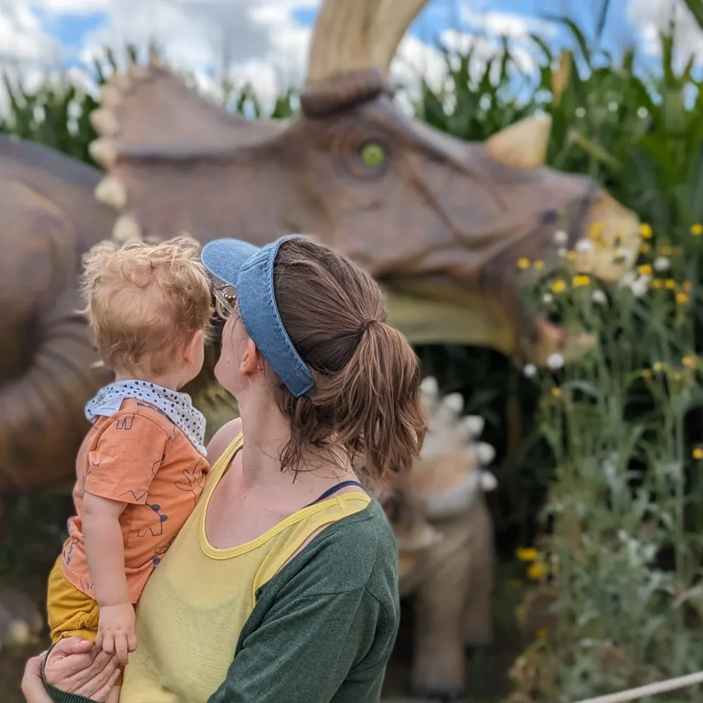 roboarms.bsky.social's profile picture