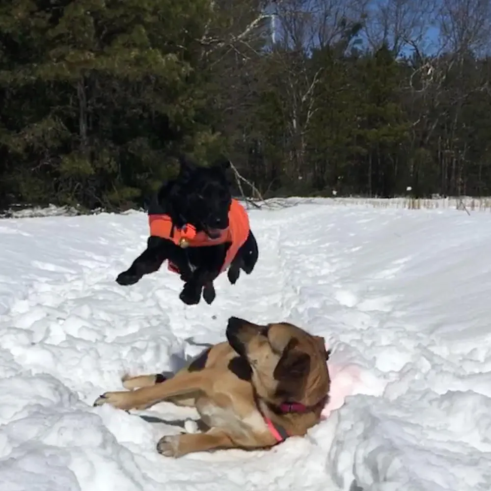 chrisgbedford.bsky.social's profile picture