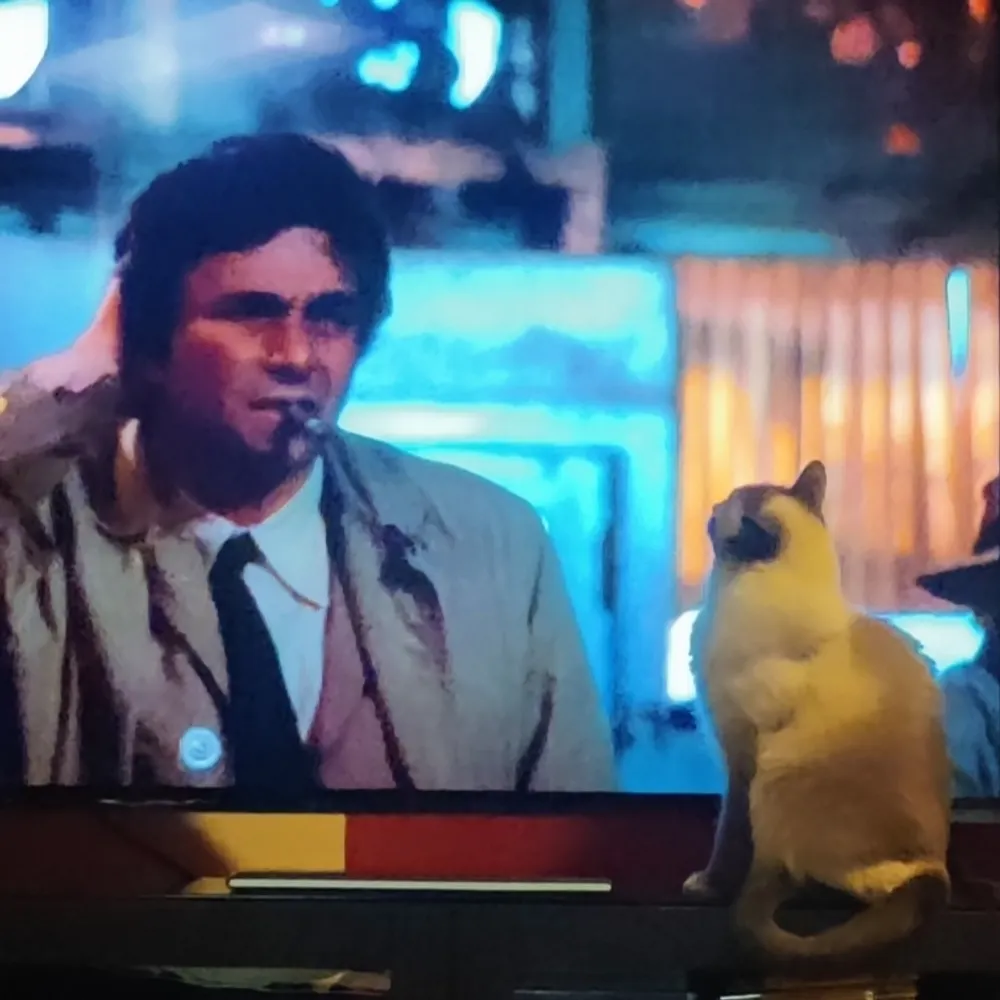 spiderofstars.bsky.social's profile picture