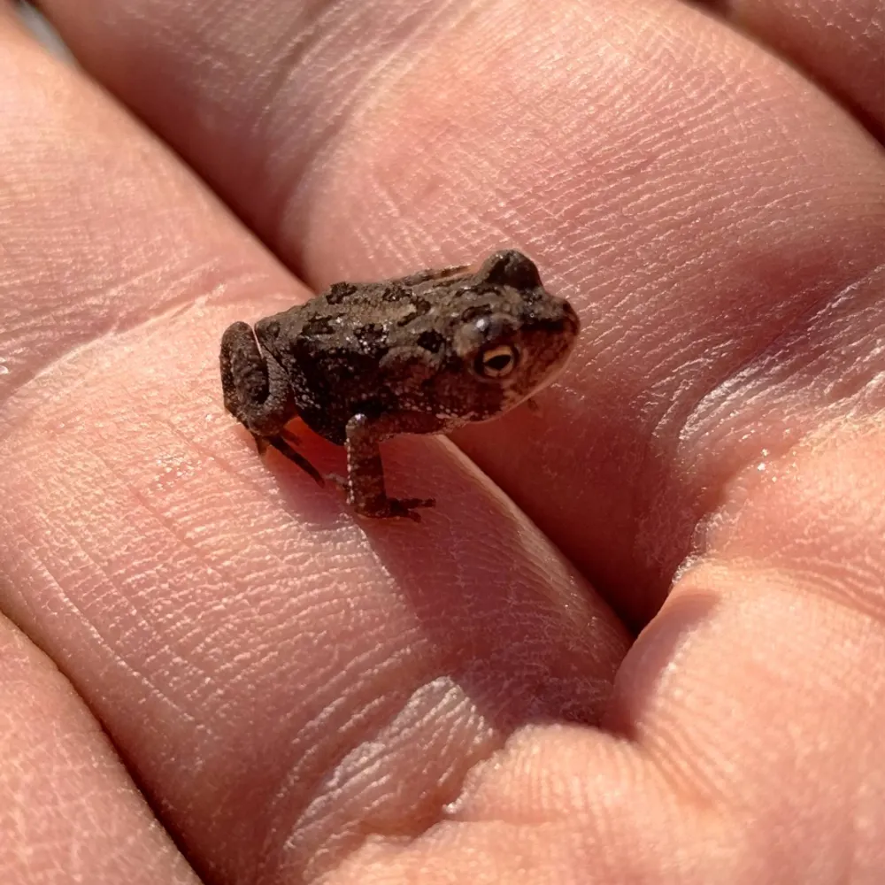 nolano386.bsky.social's profile picture