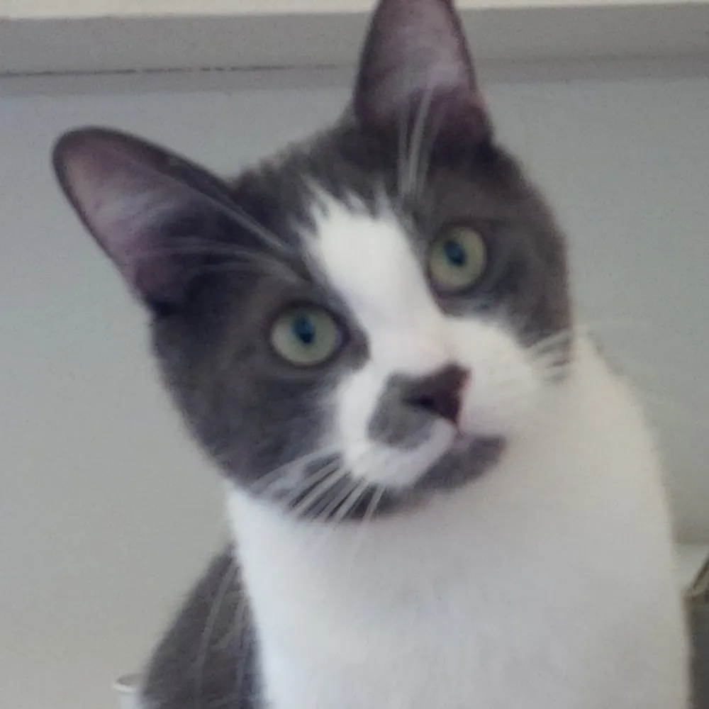 kataclyst.bsky.social's profile picture