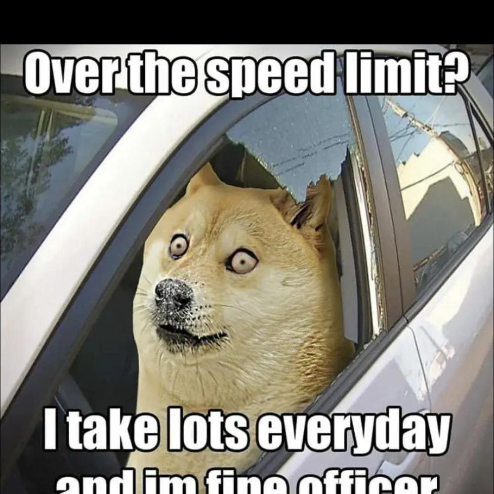 dimanyga.bsky.social's profile picture