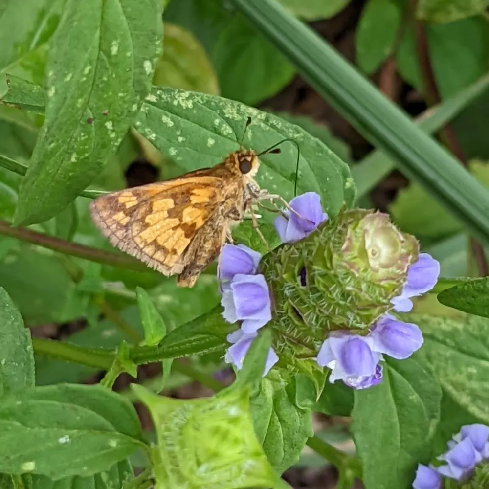 wearegonnafindout.bsky.social's profile picture