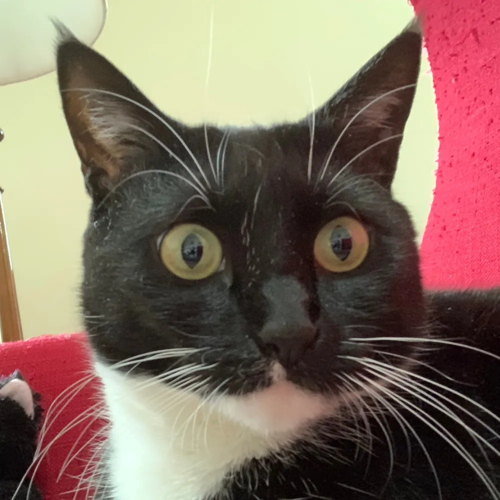 motherofsephy.bsky.social's profile picture