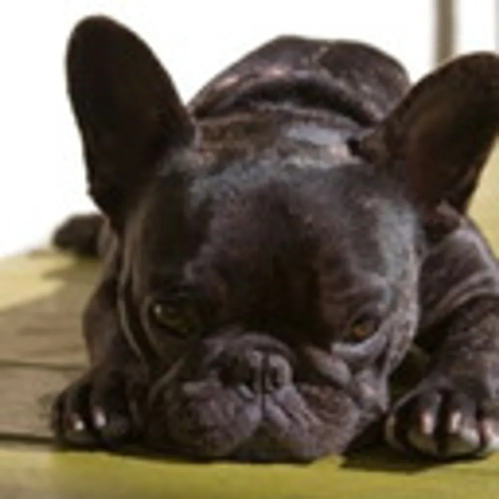 wandererriha.bsky.social's profile picture