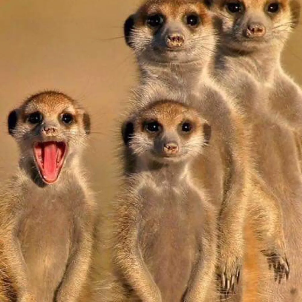 matoulamikos.bsky.social's profile picture