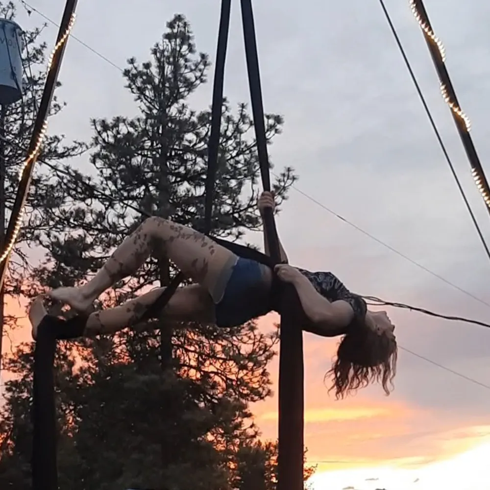 chrysanthaconduct.bsky.social's profile picture