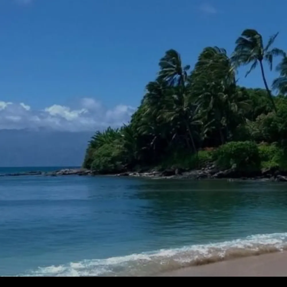 chofualum.bsky.social's profile picture