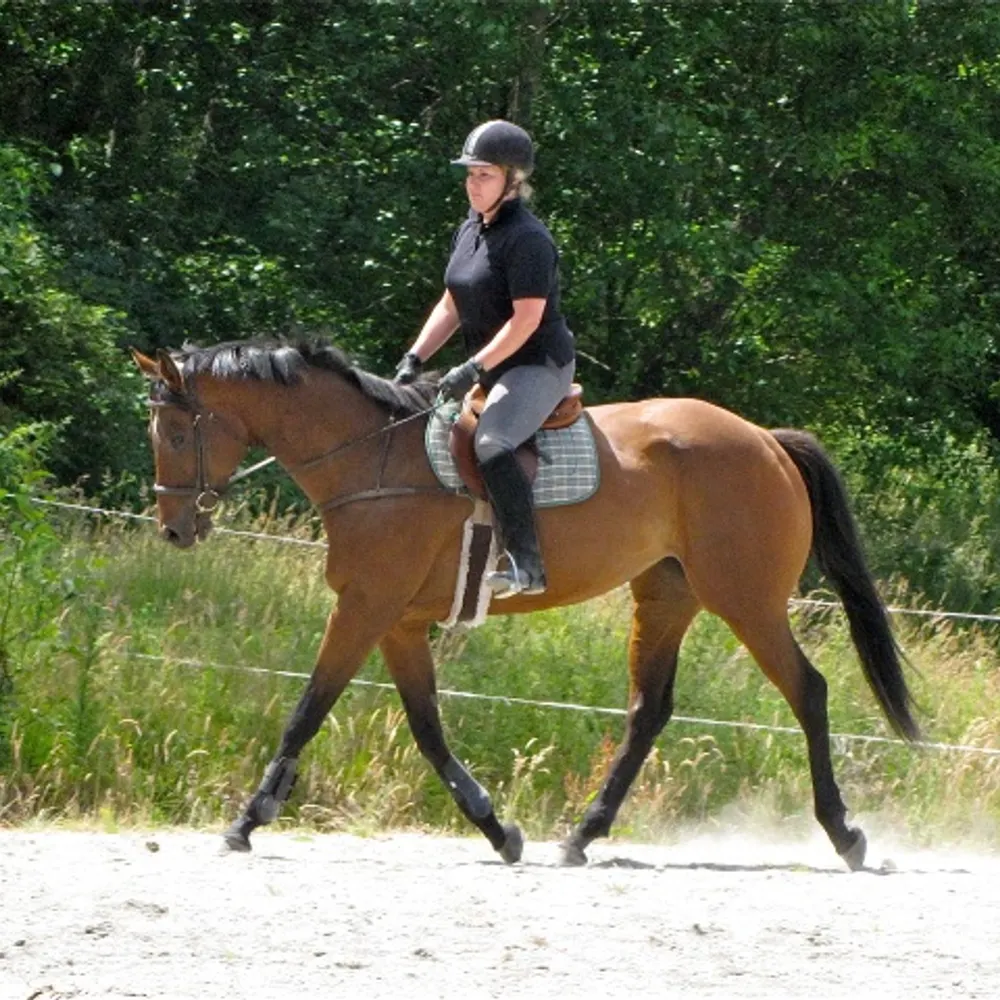 warhawk25.bsky.social's profile picture