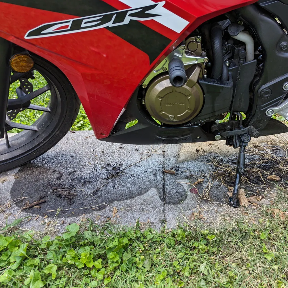 dvcop.bsky.social's profile picture