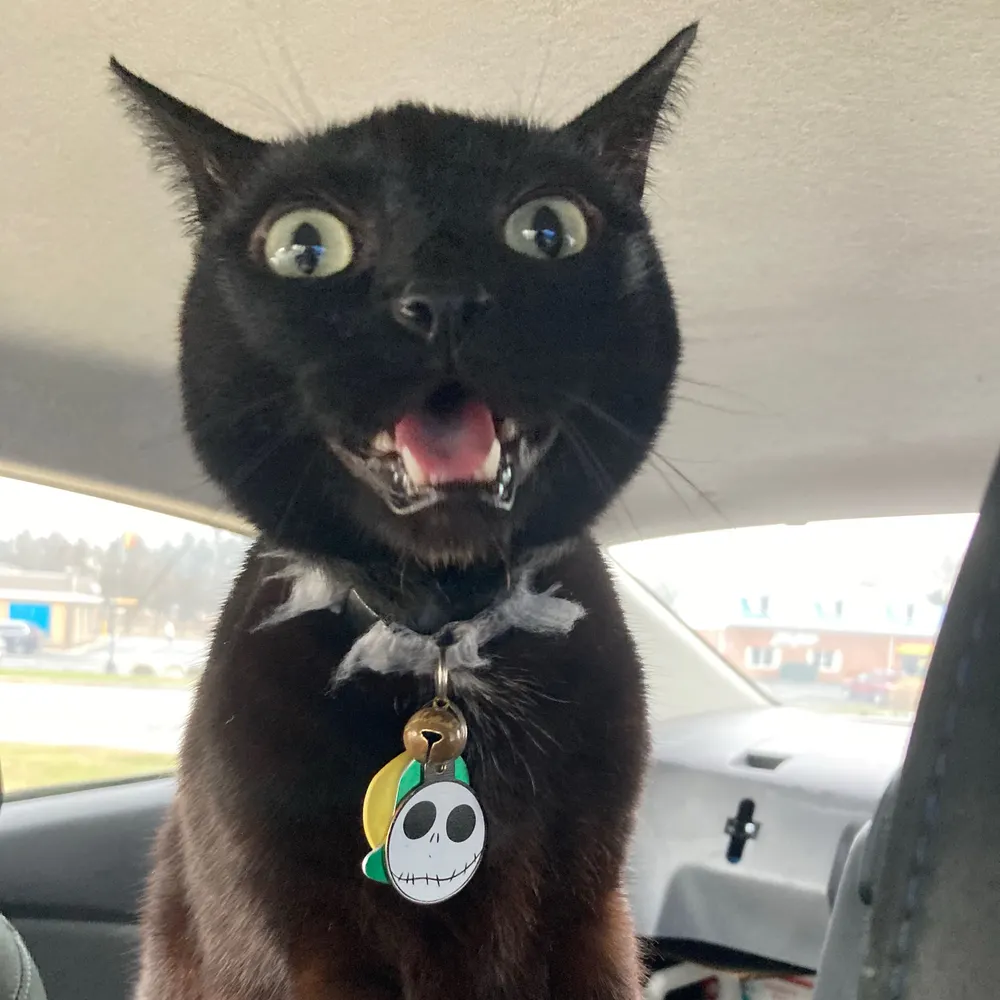 herfortphoto.bsky.social's profile picture