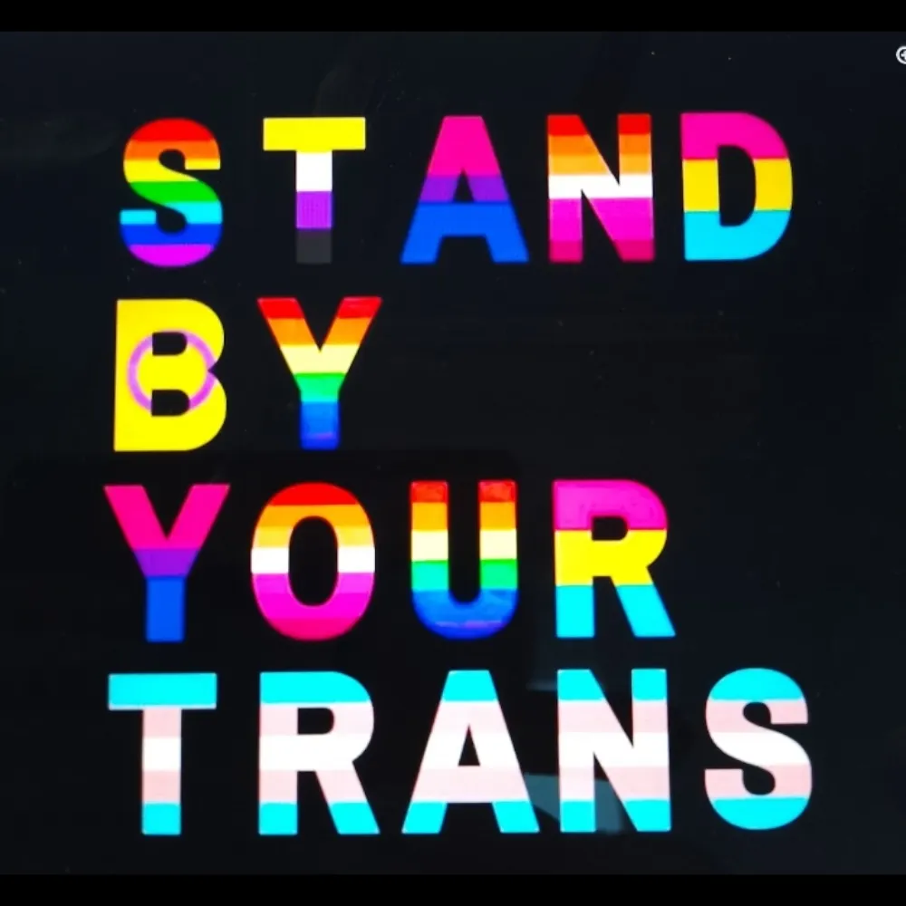 transmetalmum.bsky.social's profile picture