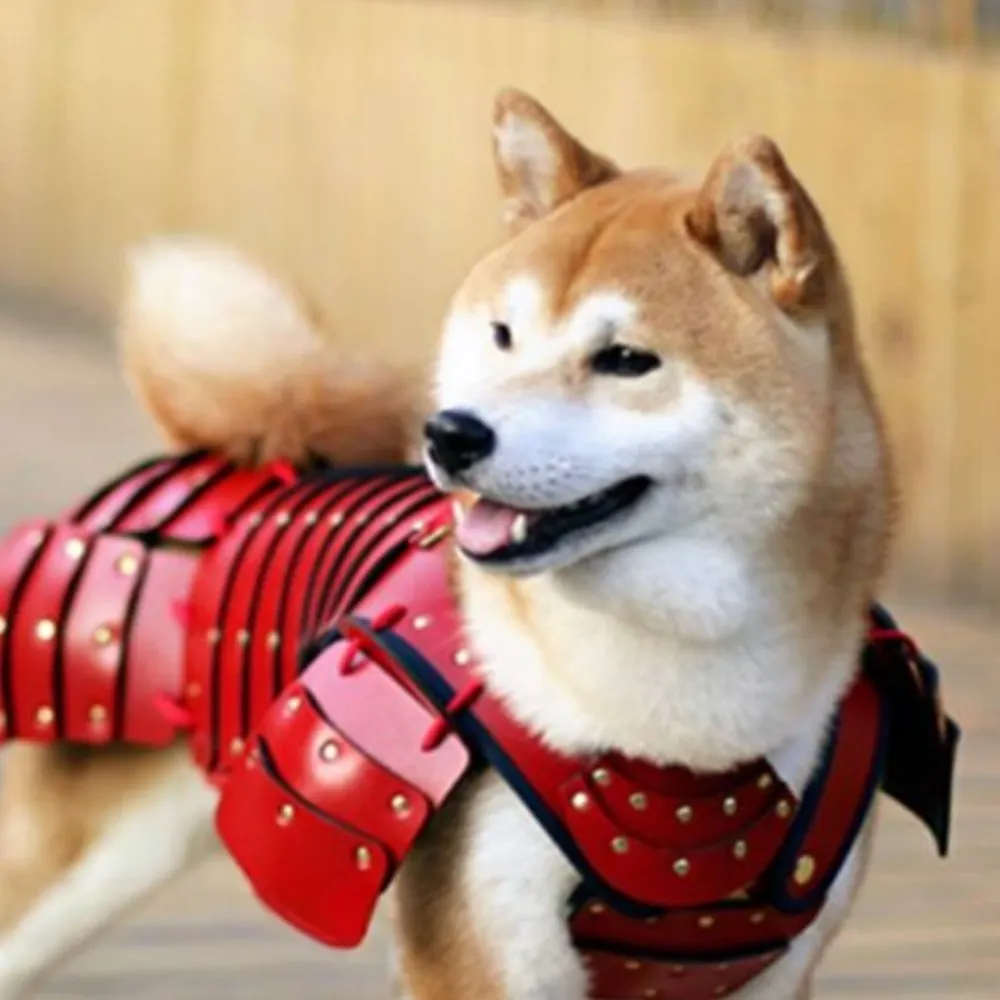 beagle.bsky.social's profile picture