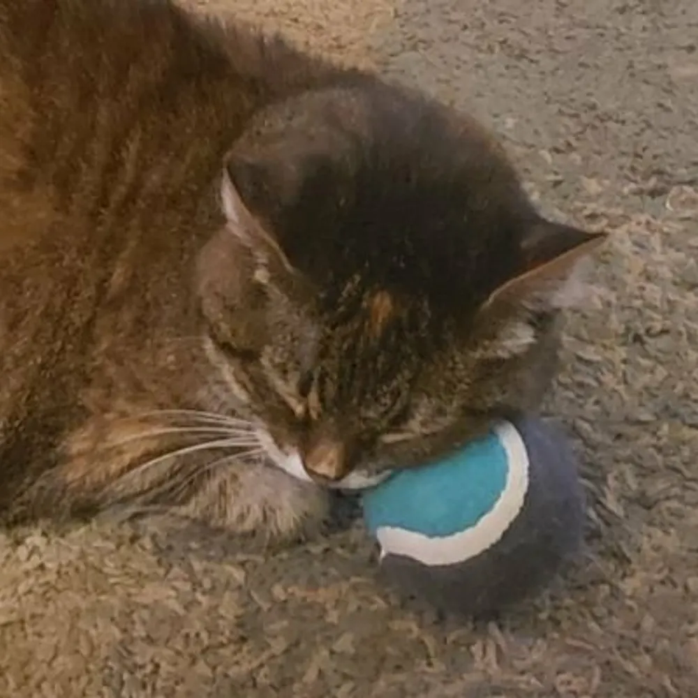 tmink128.bsky.social's profile picture