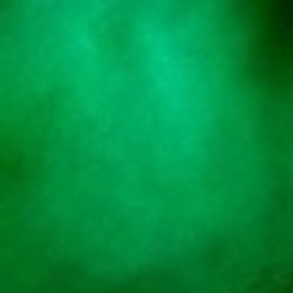 tangatatiriti.bsky.social's profile picture