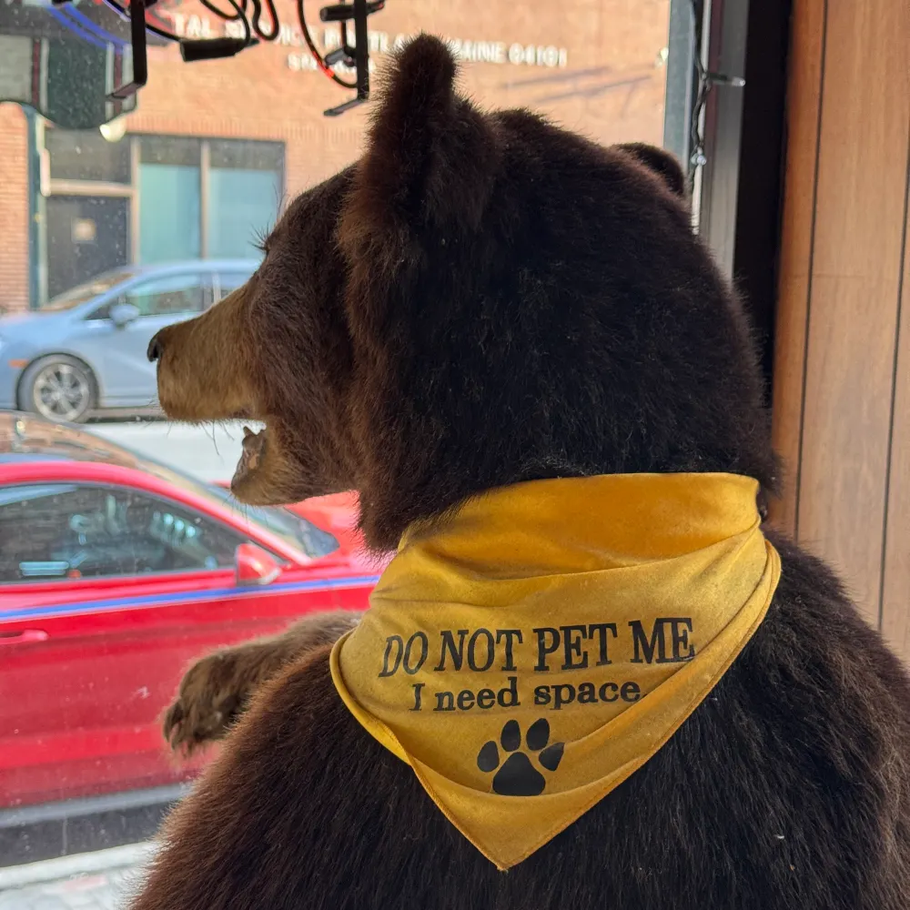 danmofftarkin.bsky.social's profile picture