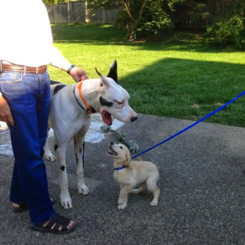 sannl04.bsky.social's profile picture