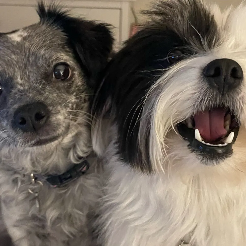 damsel64.bsky.social's profile picture