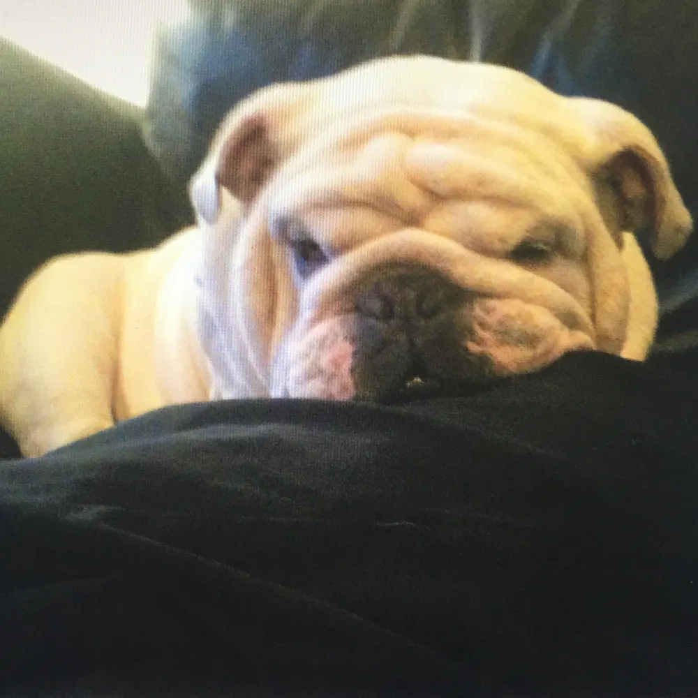 alirein.bsky.social's profile picture