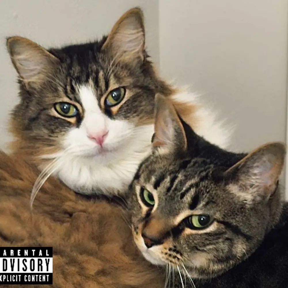 sherberthoover.bsky.social's profile picture